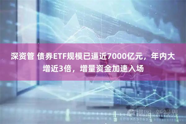 深资管 债券ETF规模已逼近7000亿元，年内大增近3倍，增量资金加速入场