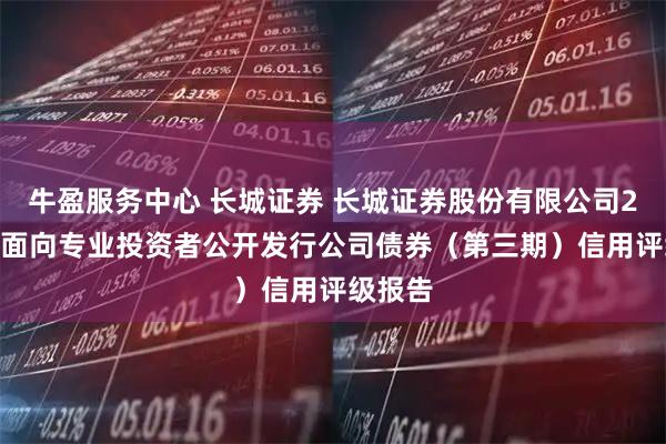 牛盈服务中心 长城证券 长城证券股份有限公司2025年面向专业投资者公开发行公司债券（第三期）信用评级报告